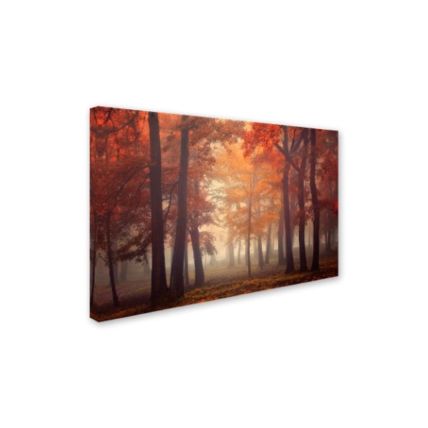 Ildiko Neer 'Feel' Canvas Art,16x24